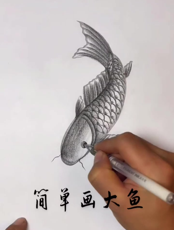 简单教你画一条大鱼