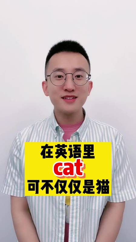 原来英语里猫有这么多种意思啊,你都知道几个