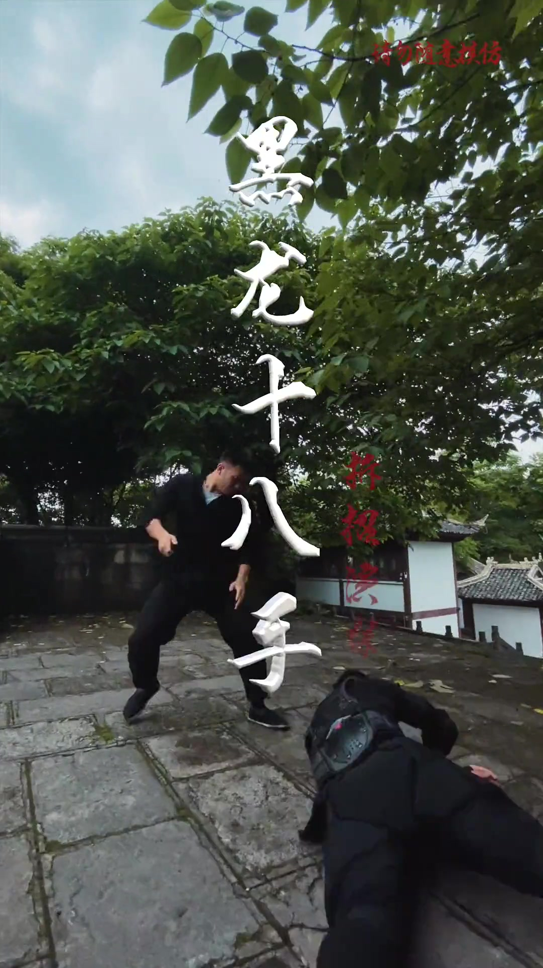 擒拿手师父说黑龙十八手简单粗暴