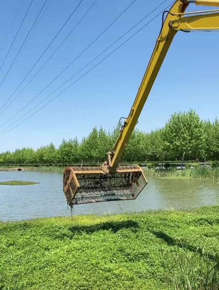 这水草捞的没的说就是爽,漂亮的小鱼怎么吃你们说-度小视