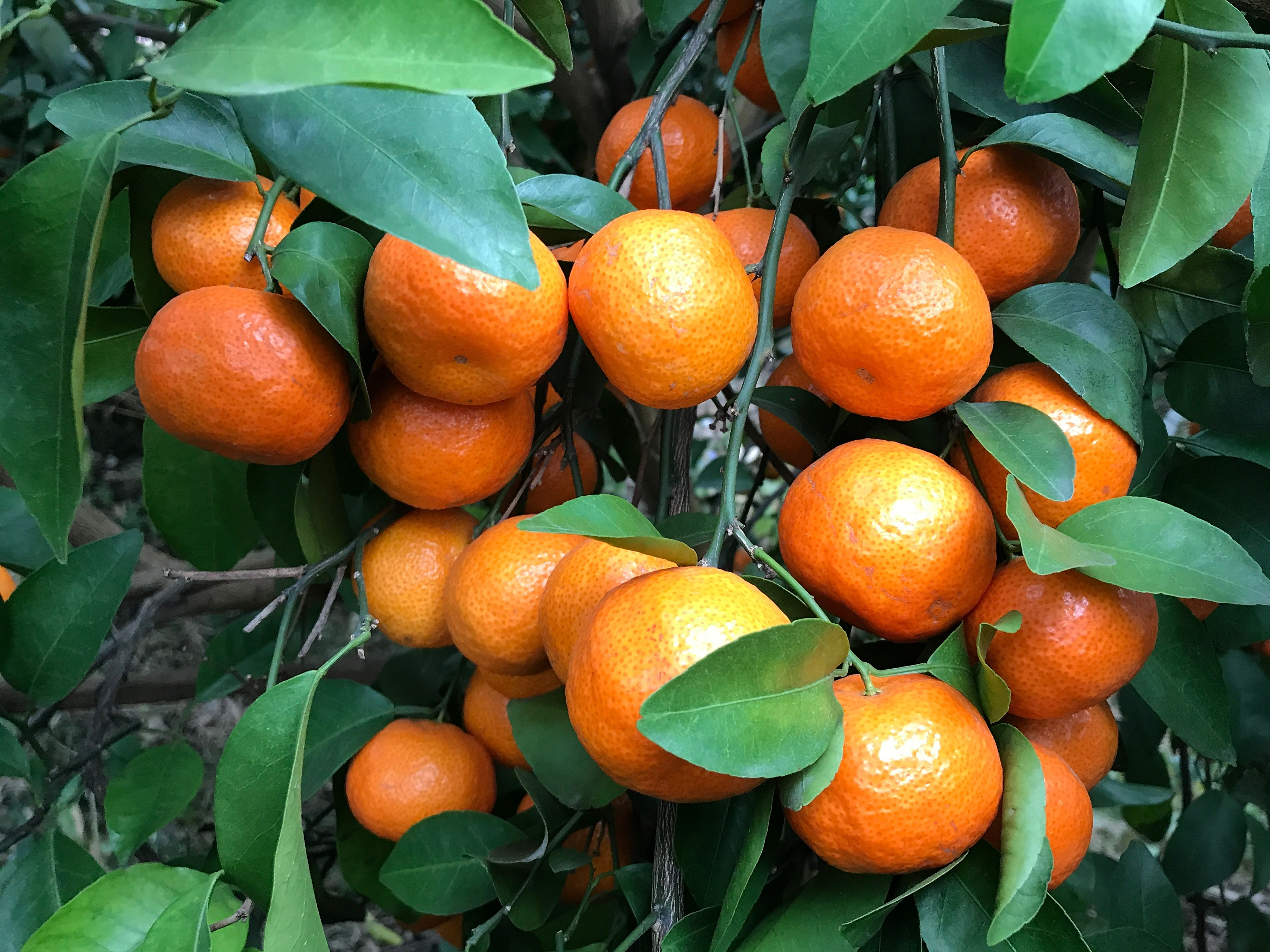 真相原来是这样