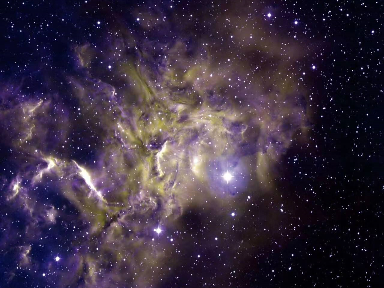 八十八星座之御夫座和天猫座