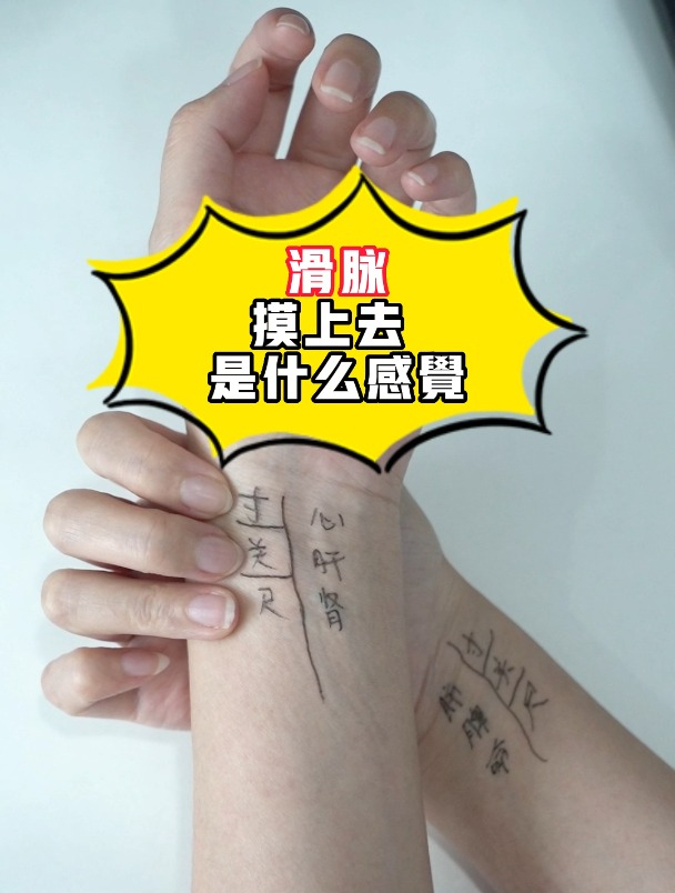 中医的滑脉代表身体有哪些状况,答案在视频里