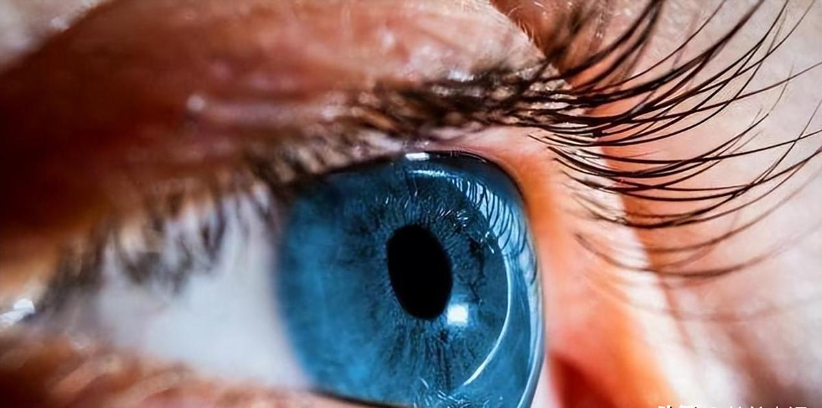 回顾一男童天生拥有蓝眼夜晚看东西如白天检查结果让全家沉默