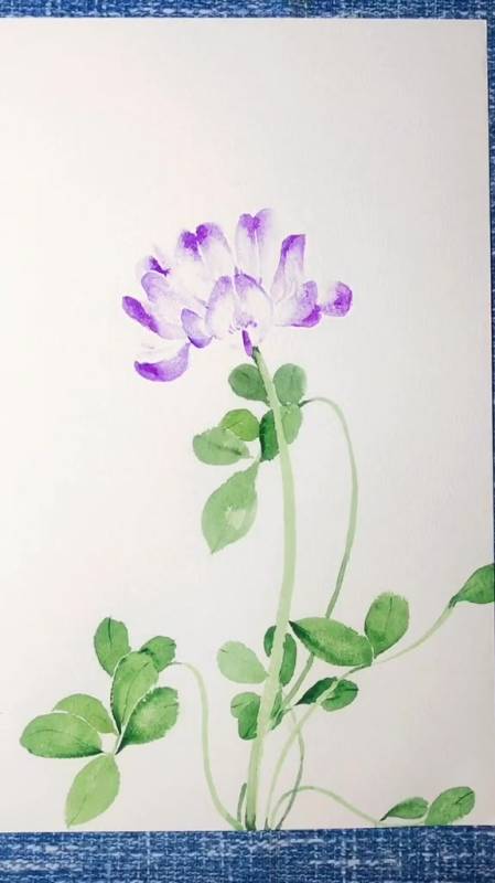 紫云英喜欢的童鞋可以试一下