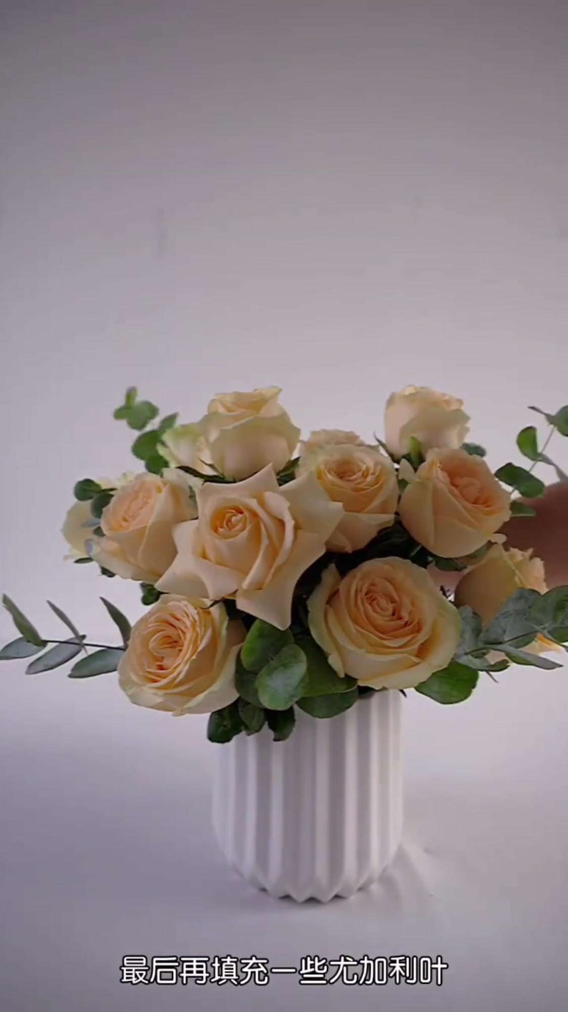 香槟玫瑰层次感插花教学