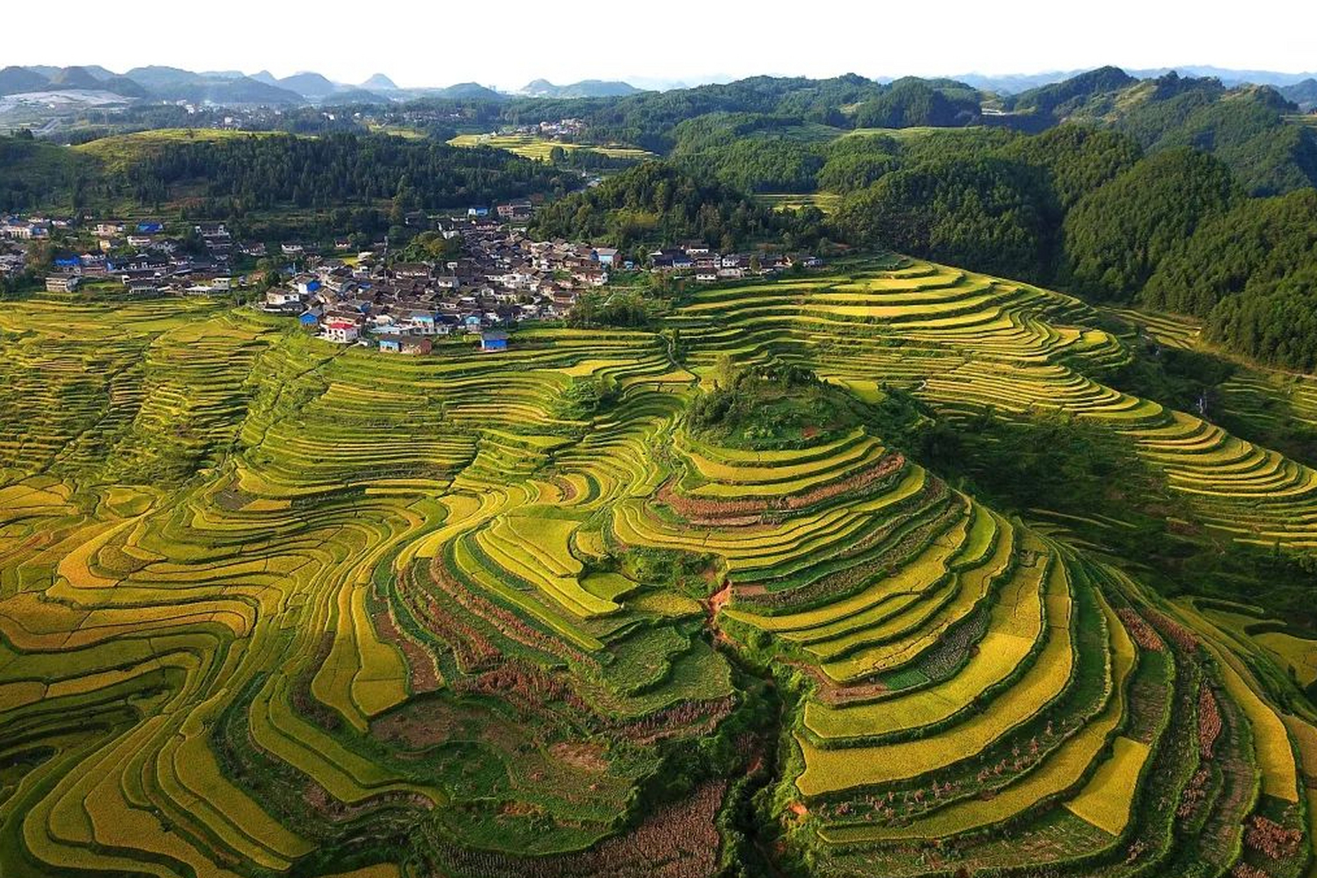 金秋图文动态创作节# 贵州高要梯田秋色攻略 贵州高要梯田,位于中国