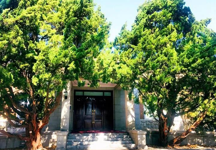 "不怕蛤蟆进家门,就怕三树立门头",树比蛤蟆还厉害?