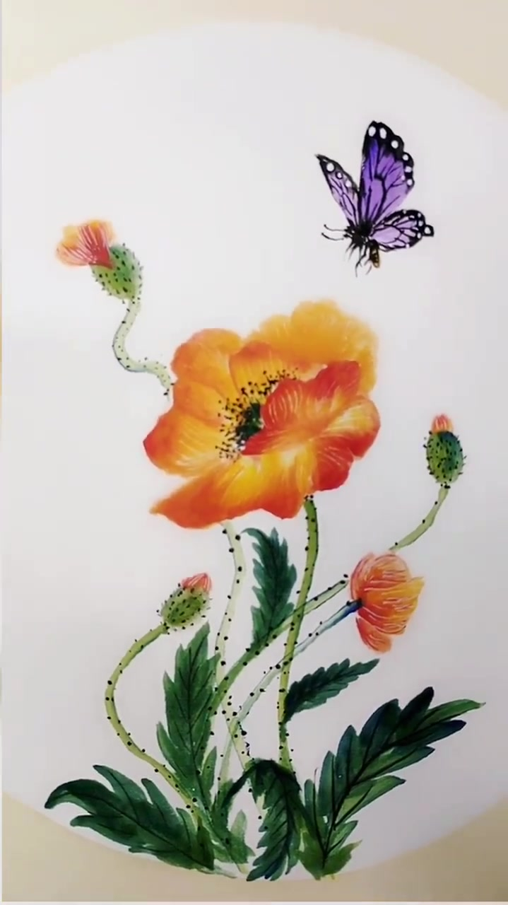 国画写意的虞美人,快来看看