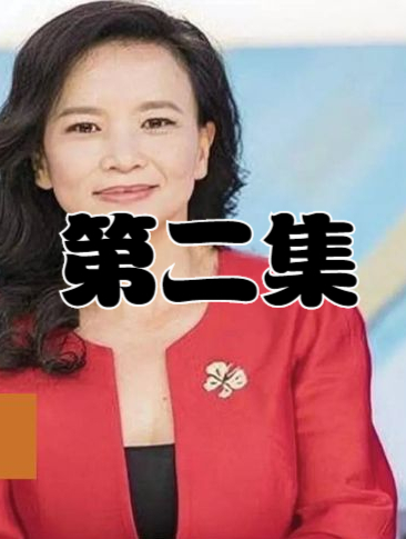 卖国女间谍成蕾潜伏央视高层20年因口误暴露身份第26集