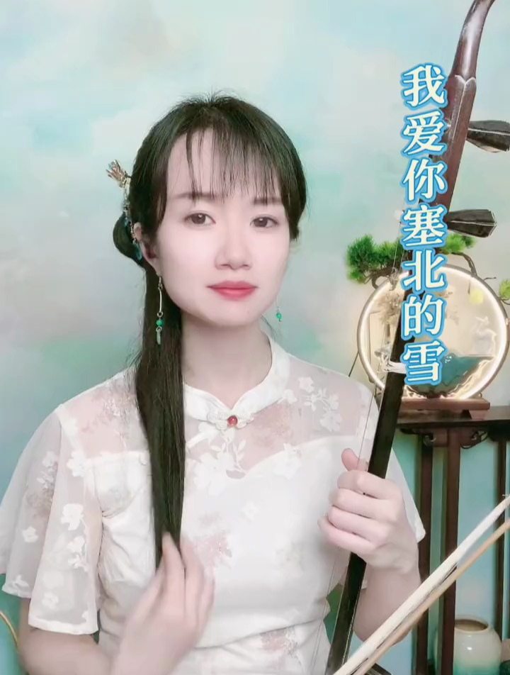 《我爱你塞北的雪》经典老歌,二胡,热门音乐