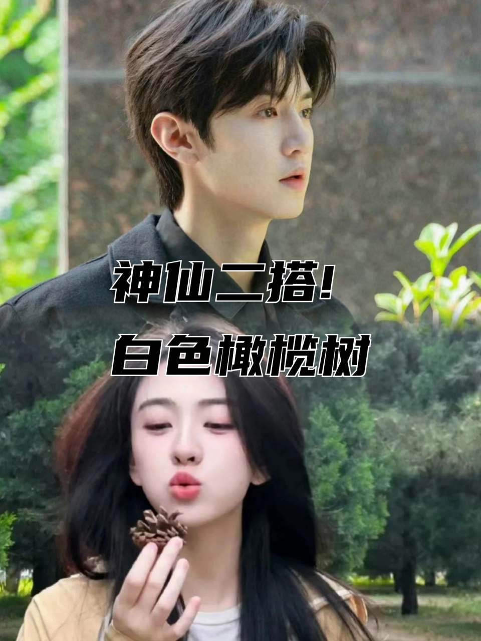 白色橄榄树 《白色橄榄树》 简介:梁城卫视女记者宋冉在动荡的东国