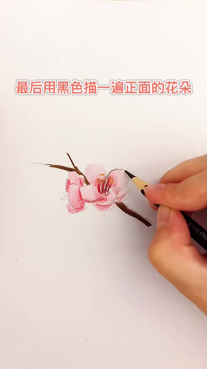 畫一朵海棠花送給你們彩鉛