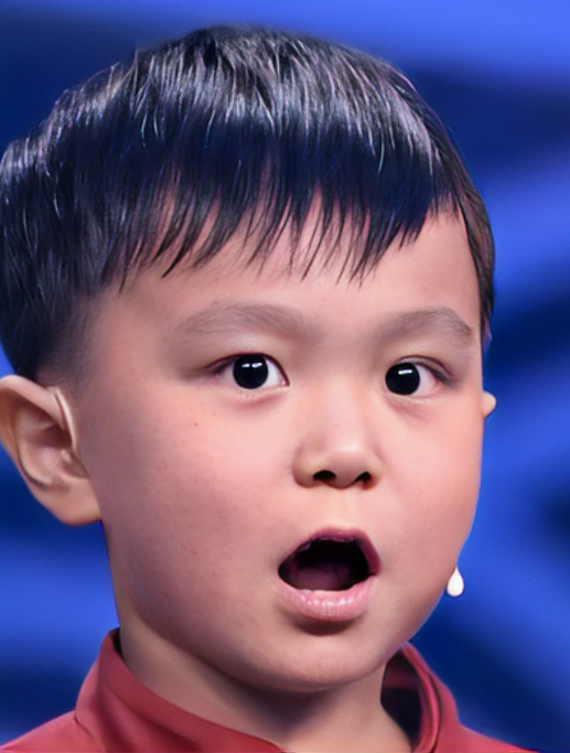 "神童"王恒屹:3岁识千字背百诗,夺诗词大会冠军,现状如何?-度小视