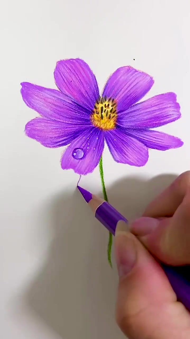 这么漂亮的彩铅花卉教程