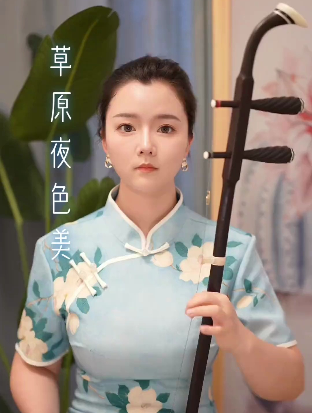 《草原夜色美》民族乐器,二胡演奏
