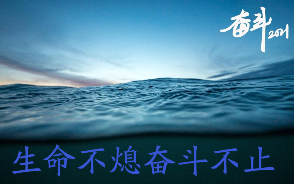 为中华之崛起而奋斗