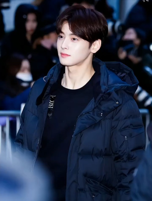 会有人不认识南韩脸蛋天才车银优吗?大家看过这个出圈名场面吗?