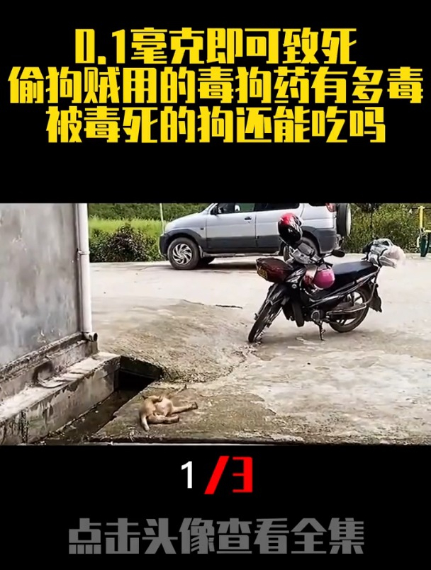 01毫克即可致死偷狗贼用的毒狗药有多毒你知道吗1