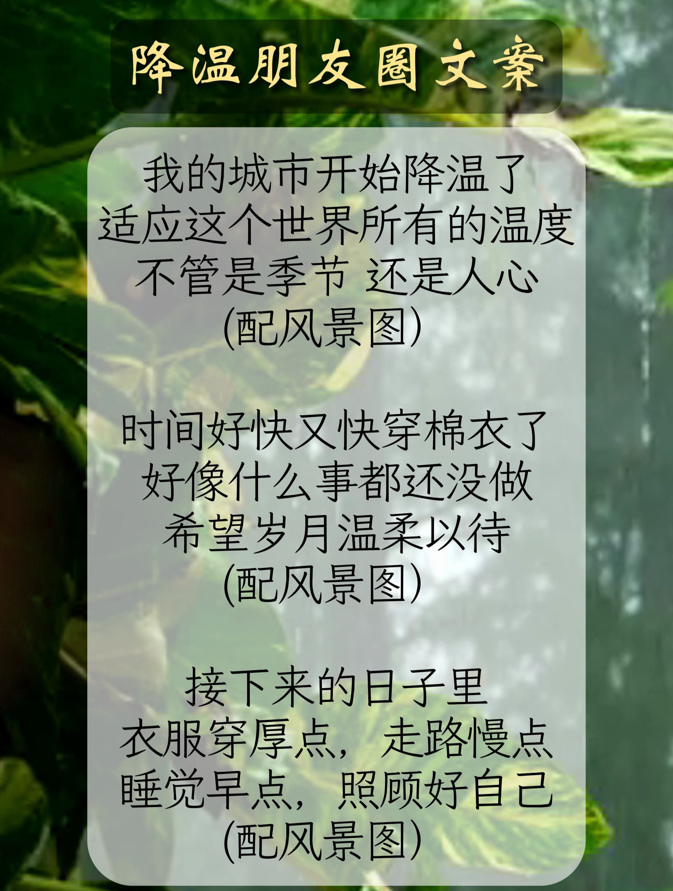 我的城市生病了文案图片