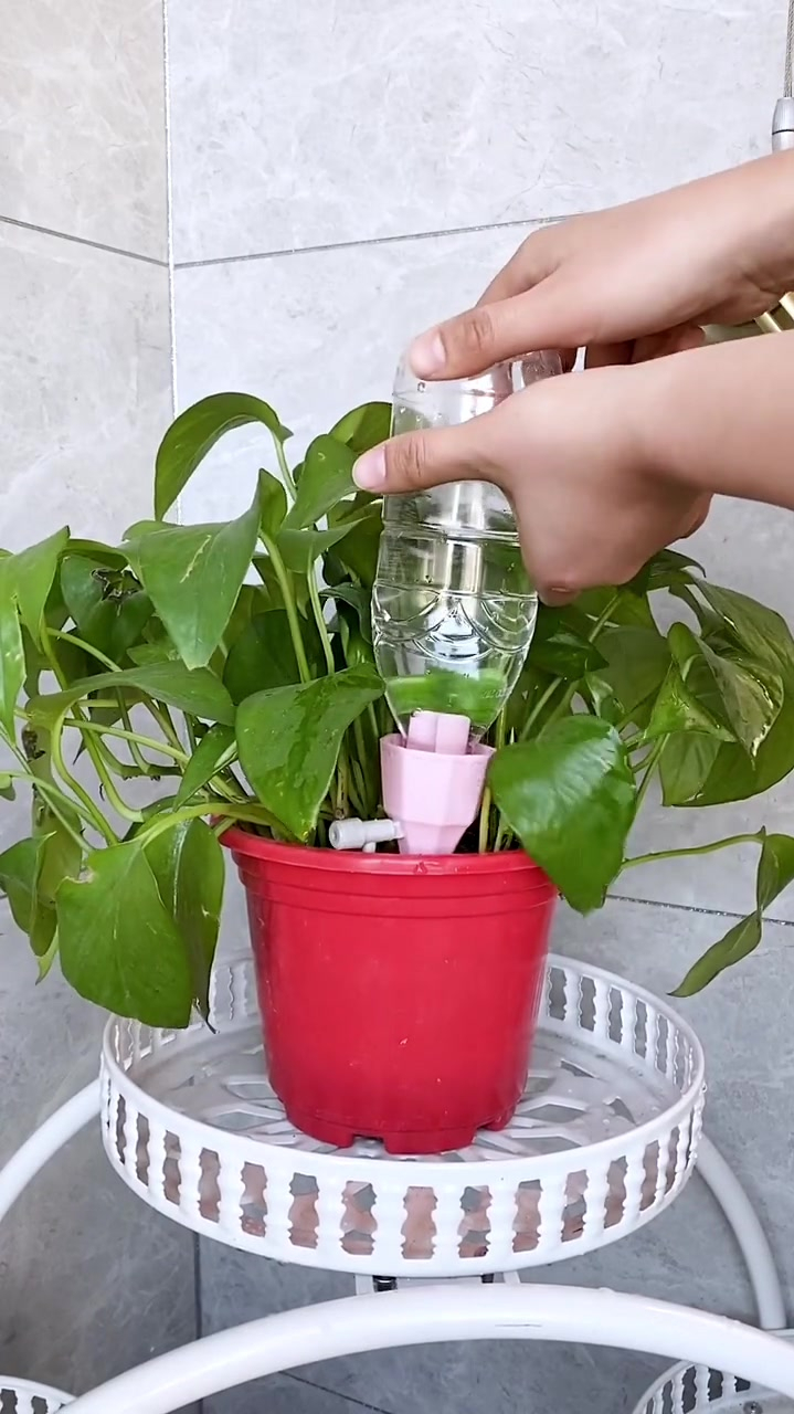 自动浇花神器自动滴灌器!出门旅行必备神器