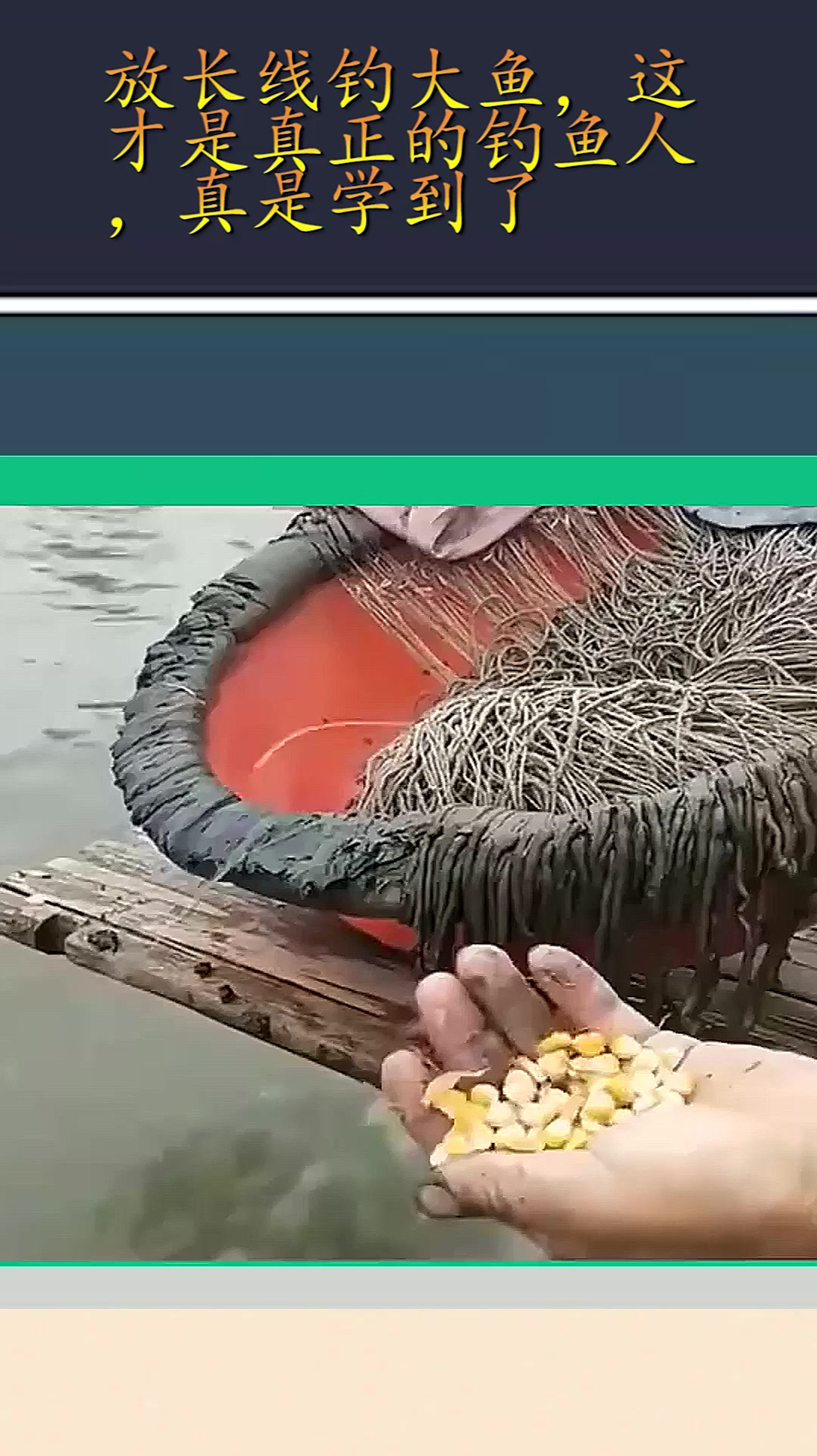 放长线钓大鱼,这才是真正的钓鱼人,真是学到了