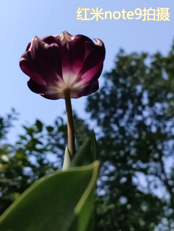 红米note11pro和红米note9进行对比,之间有什么区别?