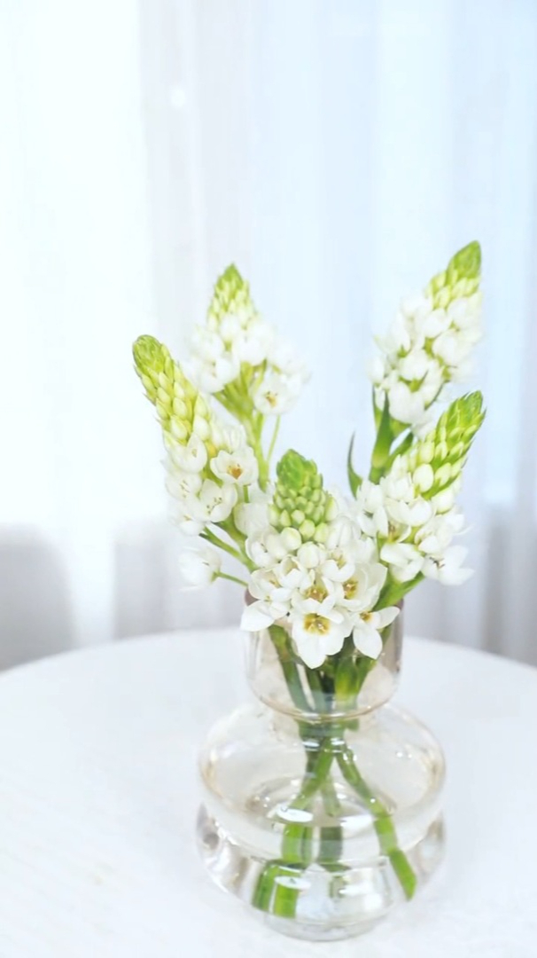 圣心百合瓶插花教程