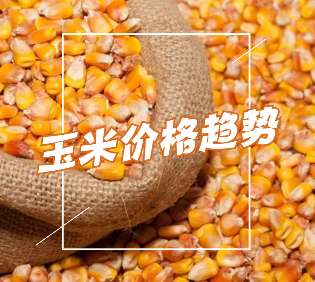 2023年玉米价格趋势预测