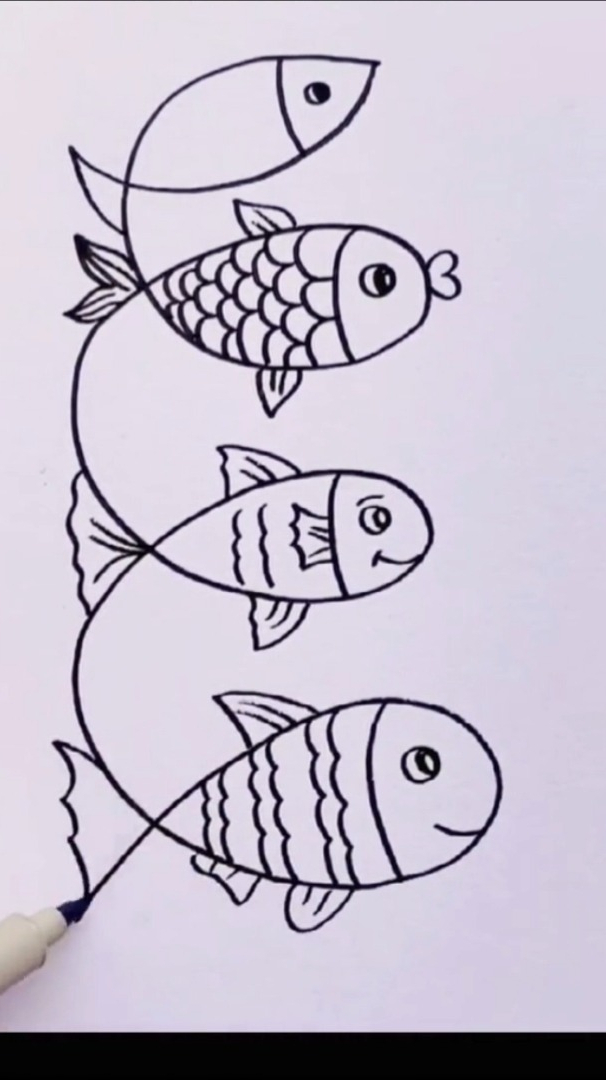 铅笔画;4条鱼!