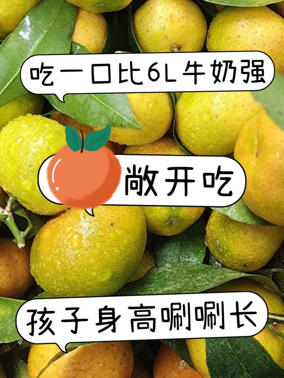 吃一口比6l牛奶强,敞开吃,娃个头长得快  (有助长高的5果建议多吃)