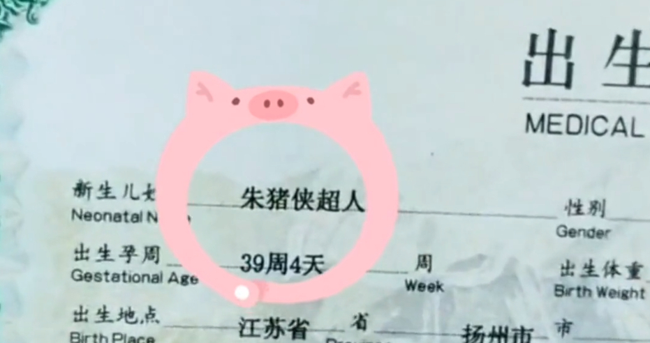尽管这些奇葩名字会让多数人感到奇怪或困惑,但很多人的观点还是觉得