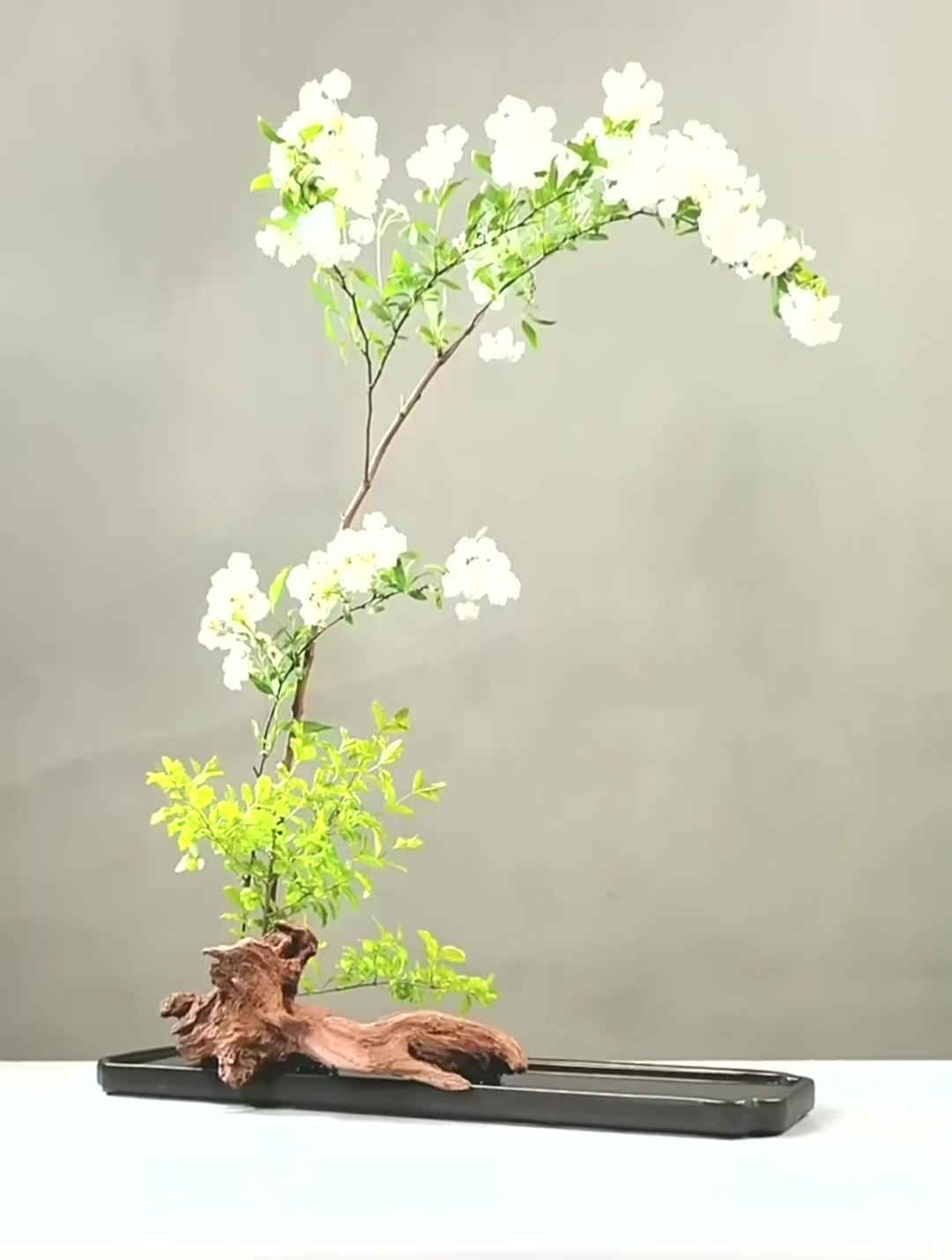 蛾儿雪柳黄金缕,笑语盈盈暗香去