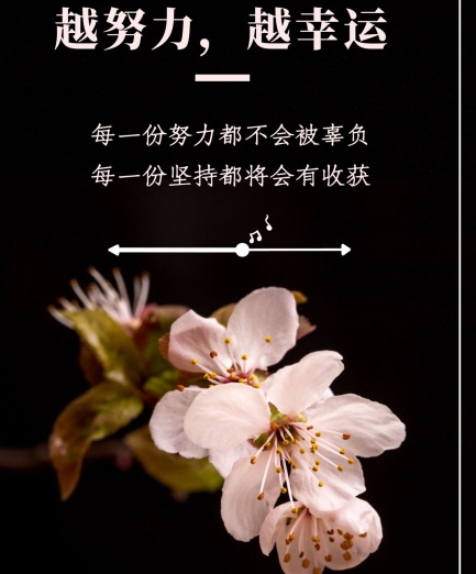 3d052期晒票:每一份努力都不会被辜负,每一份坚持都将会有收获