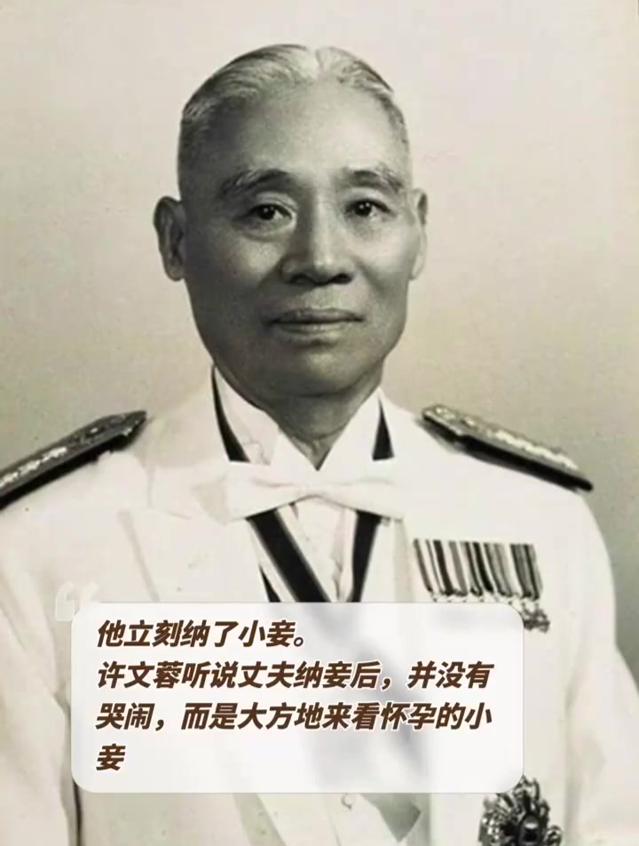 国民党军官顾祝同背着妻子金屋藏娇,而且还让小妾有了身孕-度小视