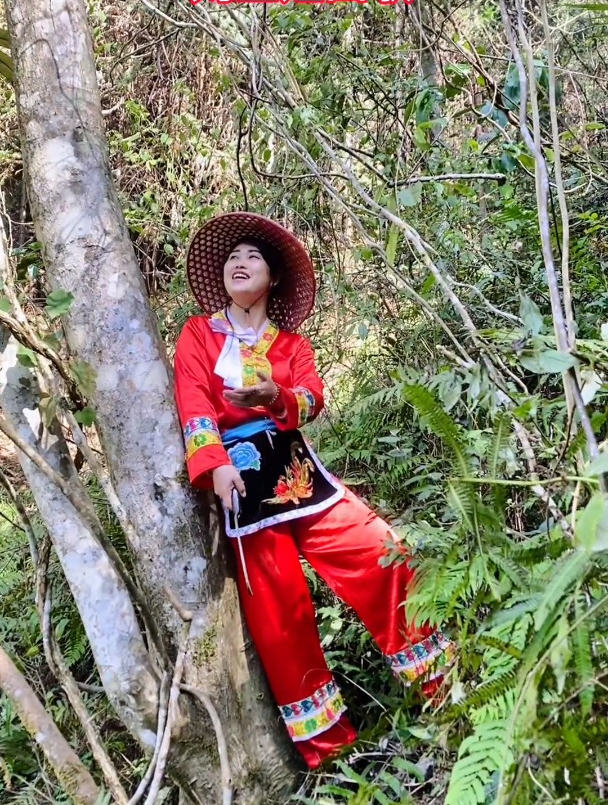 刘三姐,山歌文化传统 山中只见藤缠树