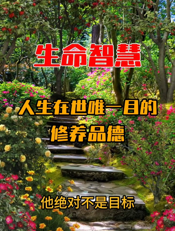 人生在世唯一目的:修养品德