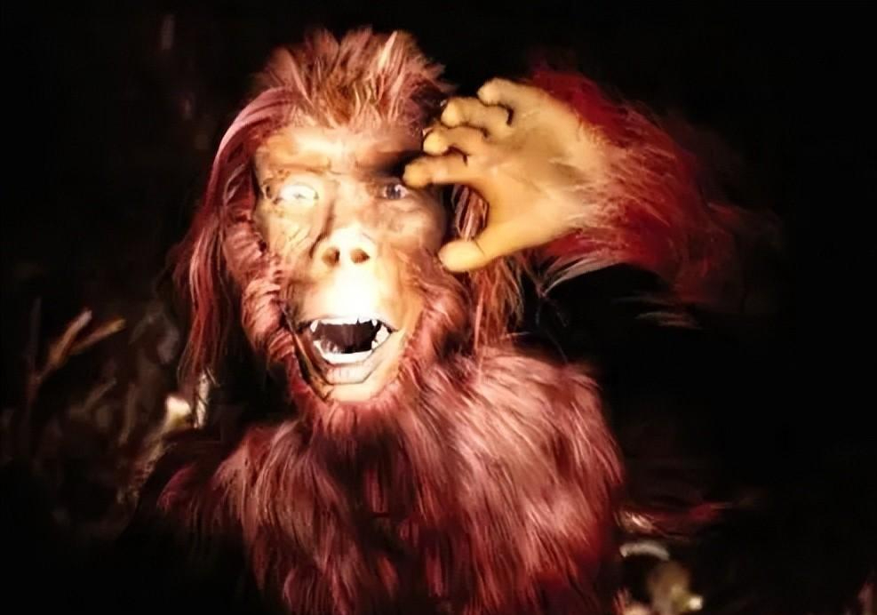 回顾云南阿佤山多次出现狜狜的真实身份究竟是什么