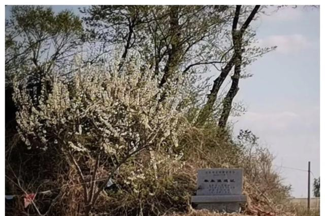 辽宁老建筑——沈阳:奉集堡遗址