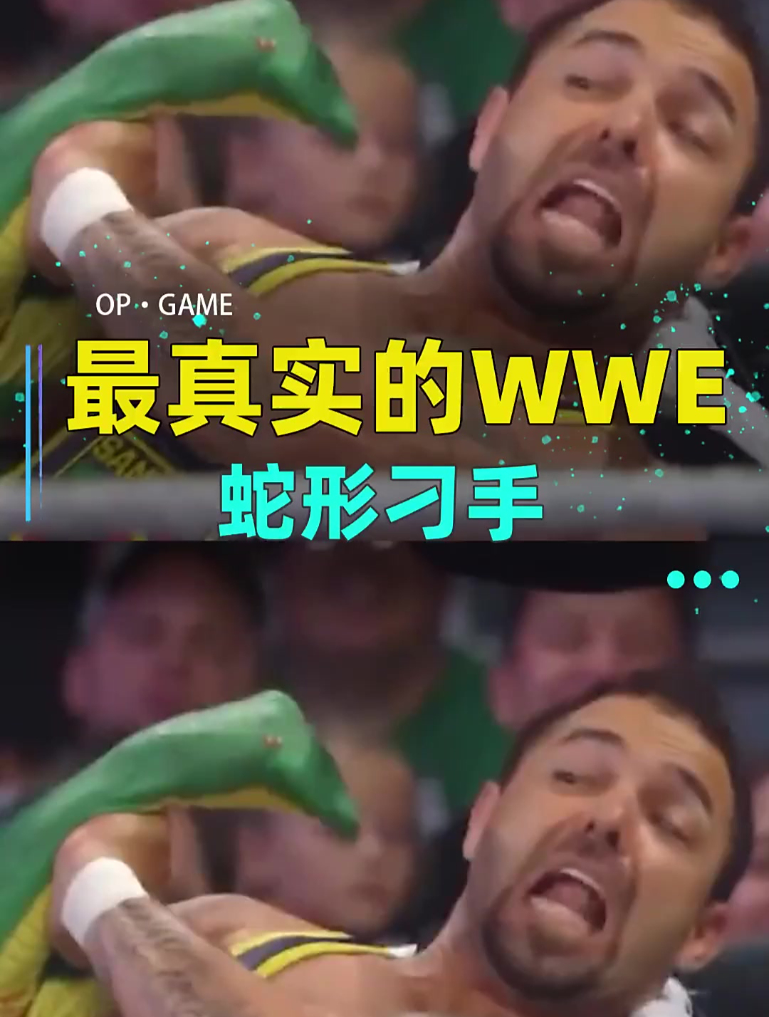 最真实的wwe~蛇形刁手