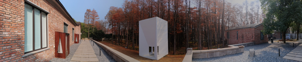 我去武汉东湖杉美术馆赏杉树