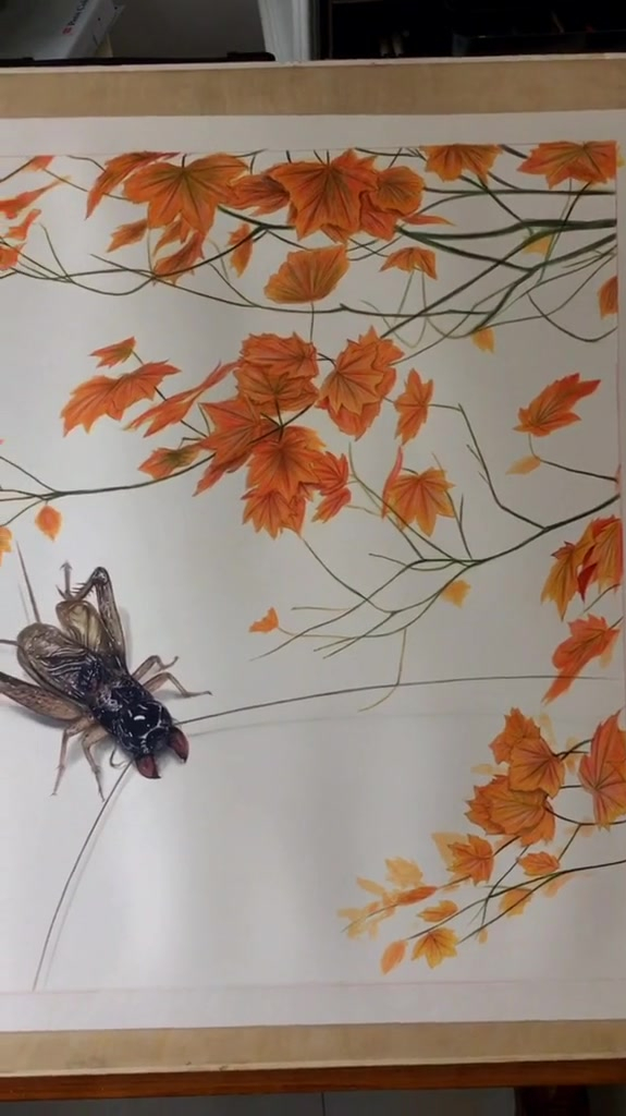 5050cm作品蛐蛐图