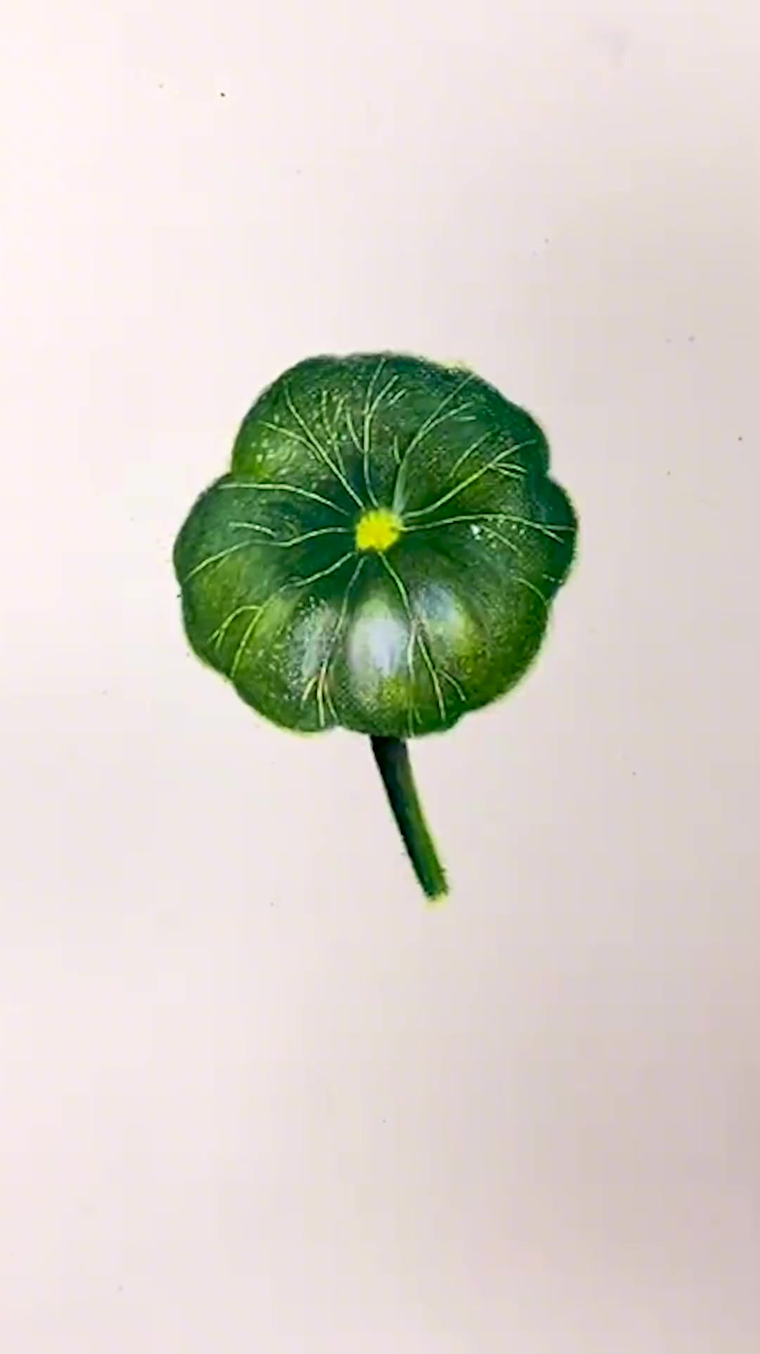 彩铅画,你们知道这个铜钱草的寓意吗