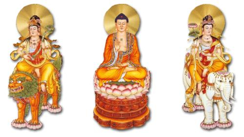 阿弥陀佛和释迦牟尼的区别是什么?