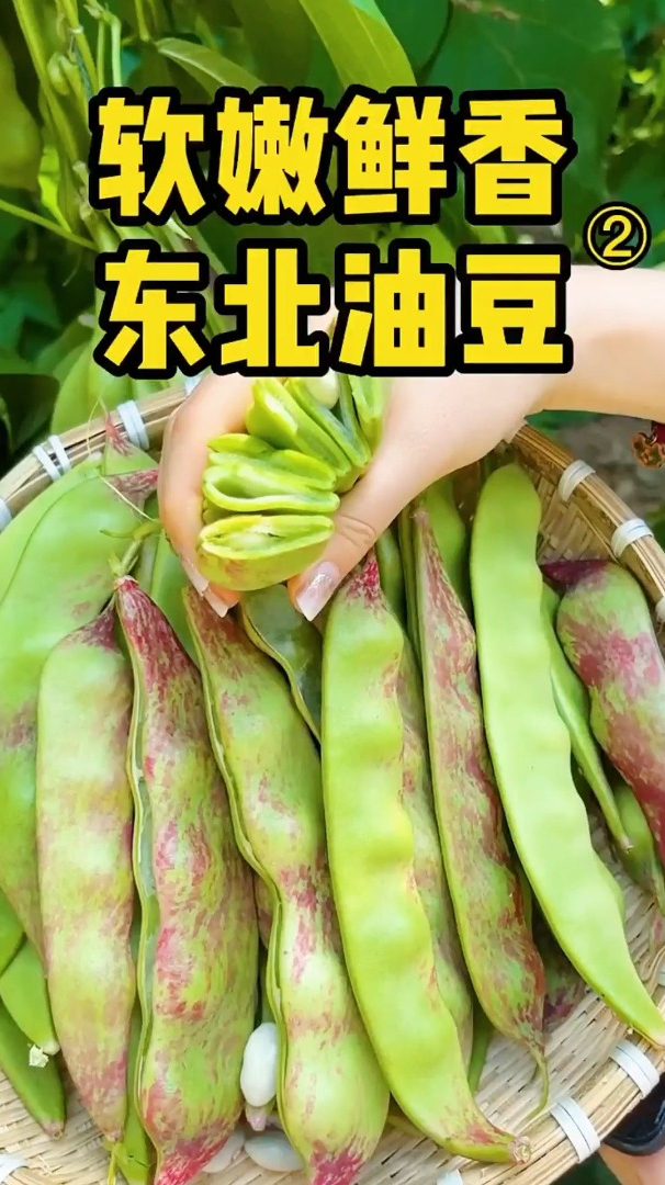 软嫩鲜香的东北油豆,就这个油豆炒肉,三碗米饭都不够吃