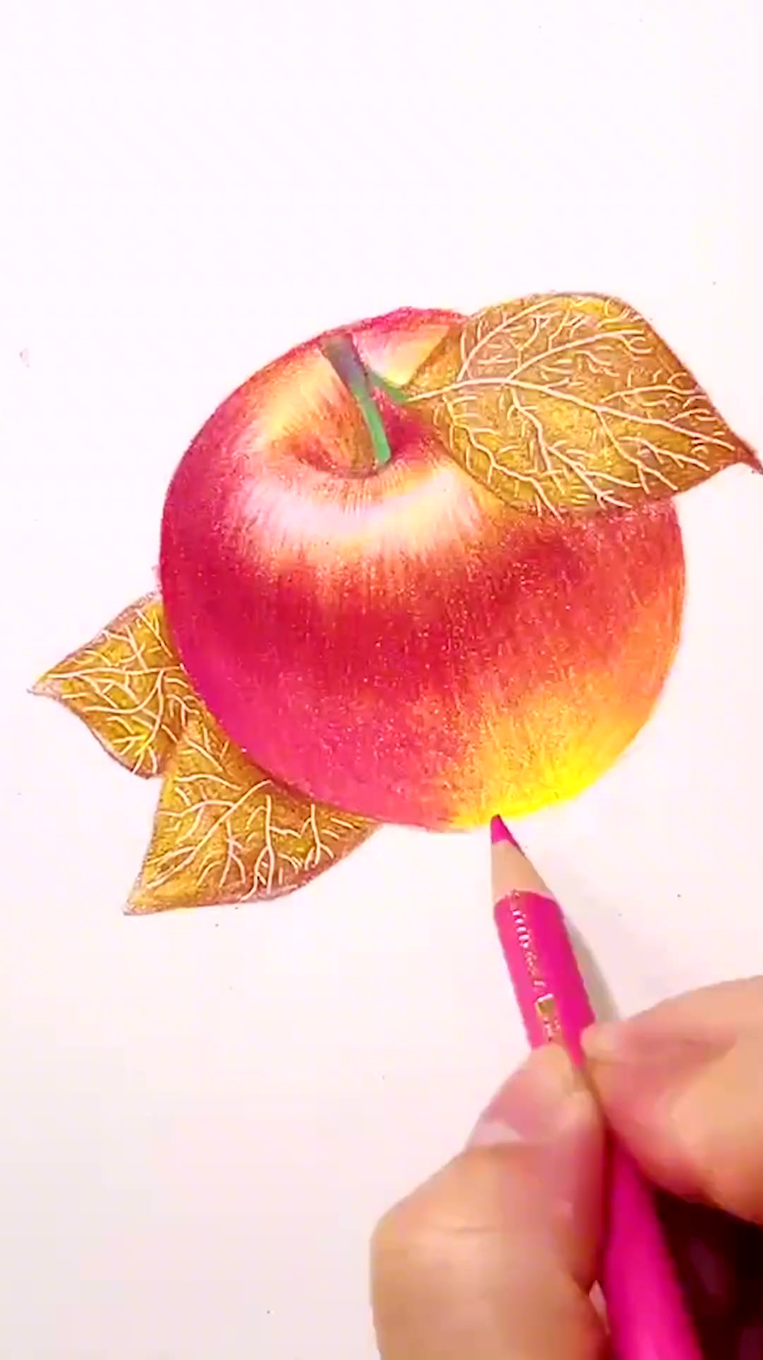 彩铅画,今天就画一个大苹果吧