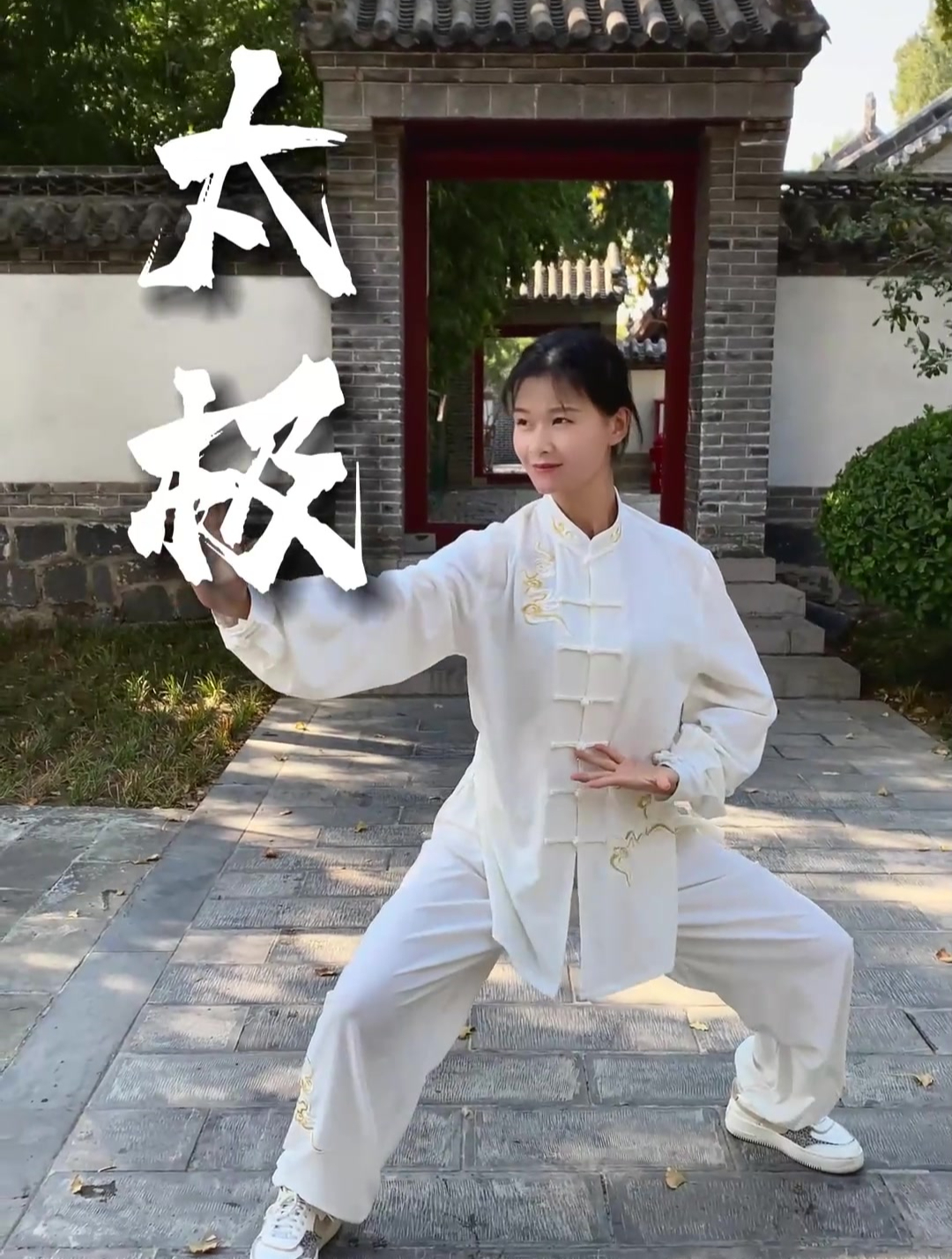 太极拳实战爆发力 上中下各个部位各司其职 一动全身具动