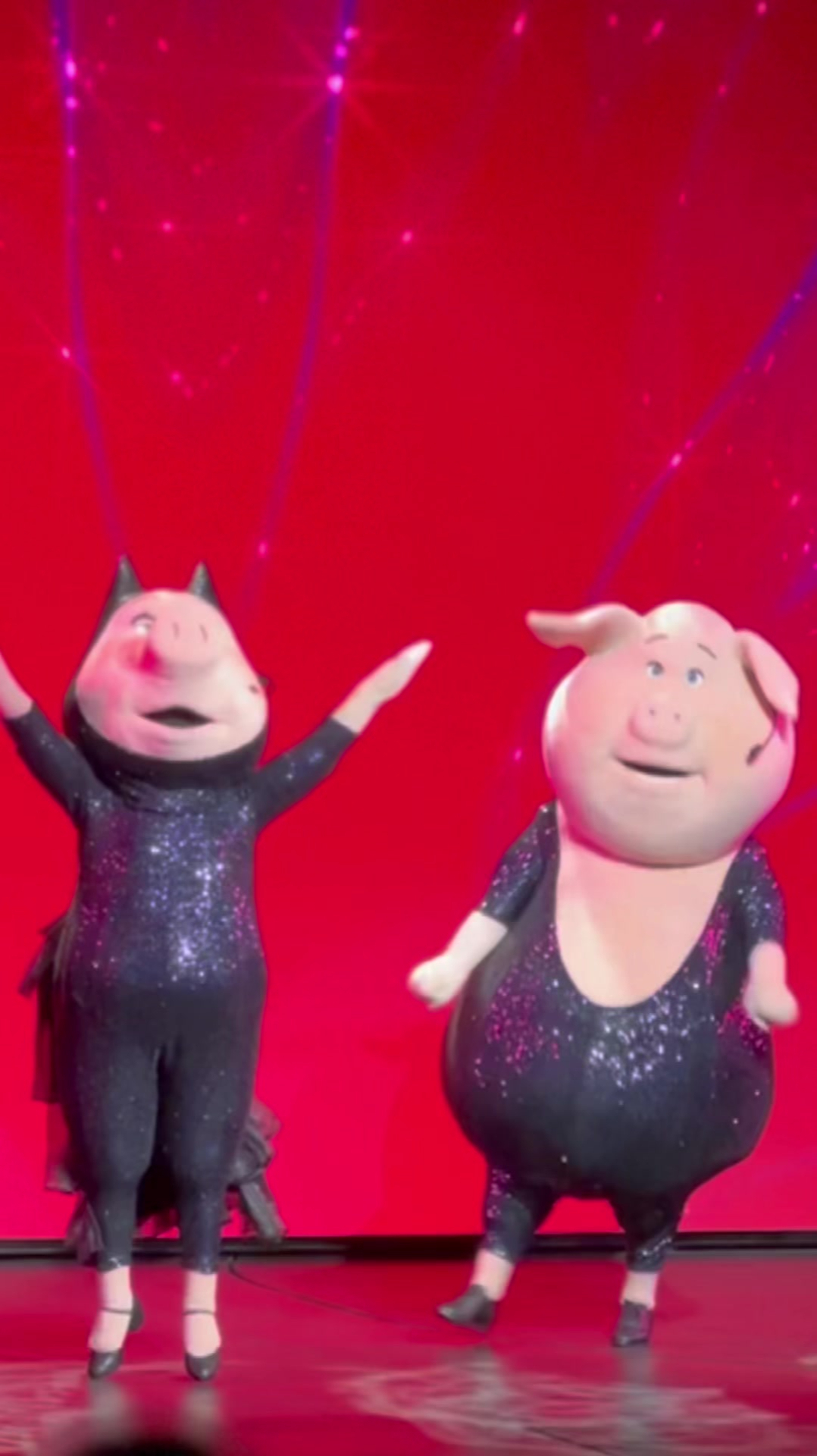 北京环球影城欢乐好声音两只小猪的欢乐表演