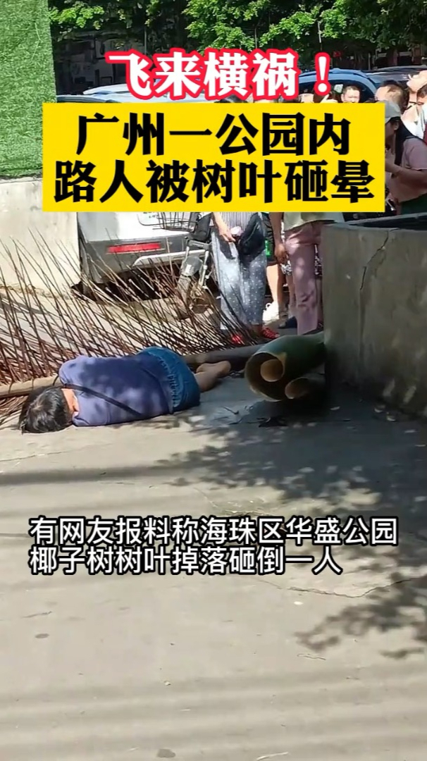 广州一公园内路人被树叶砸晕警方已送医治疗