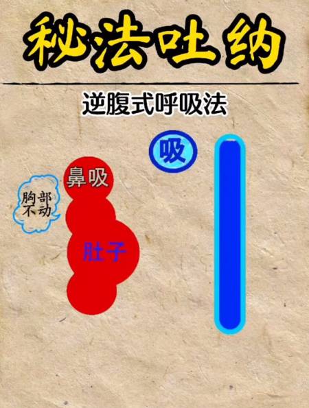 秘法吐纳 逆腹式呼吸法 传统养生文化-度小视